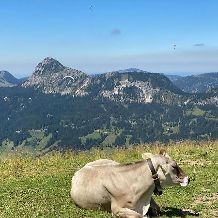 Mountain Moments Tannheim - Familie Weber Daire Dış mekan fotoğraf